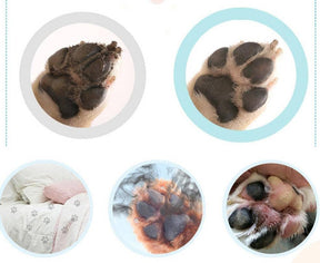 Lavadora Portátil para Patas de Pets